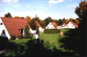 08-03alphas.jpg