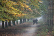 herfst010.jpg