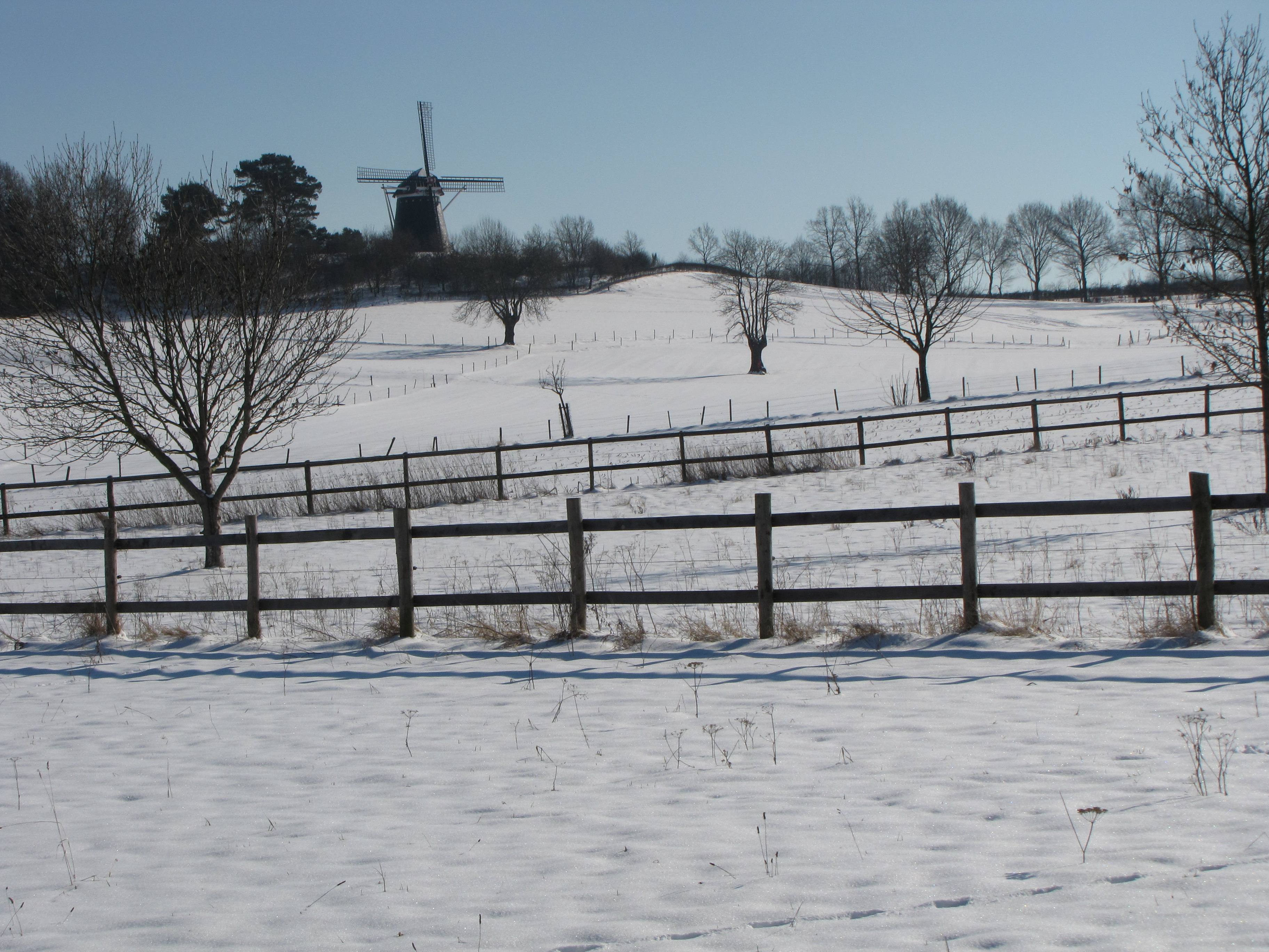 moleninsneeuw.jpg